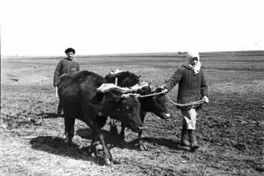 «Бәхетле яшьлек» яки якты киләчәк хакына