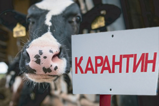 Башкортстан тилчәсе сәбәпче: Актаныш авылларында терлекне көтүгә куу һәм тавыкларны урамга чыгару тыелган