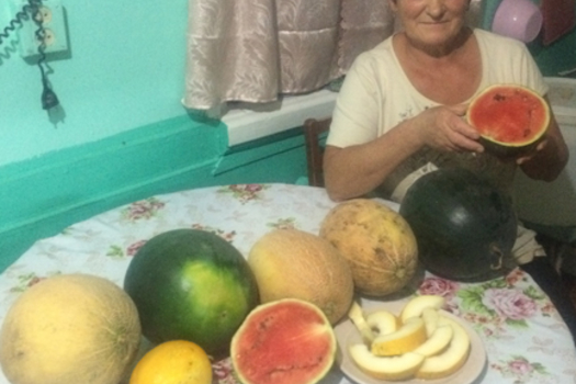 «Бәрәңге бакчасында өч центнер кавын үстердем»