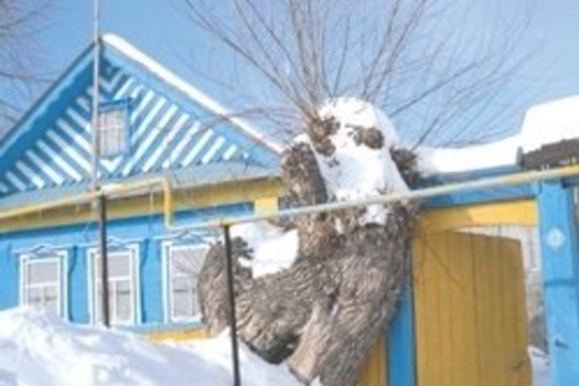 Әбигә дә урын табылды