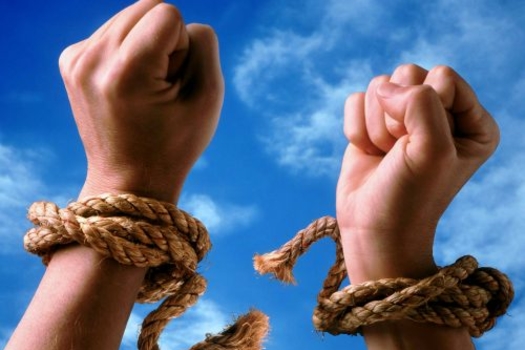 Җаны теләгән – елан ите ашаган…