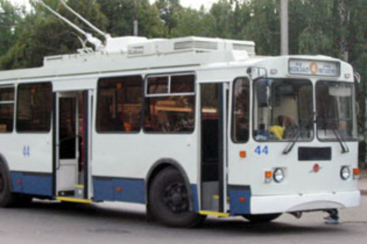 Кыяр тозлаучы кырмыска