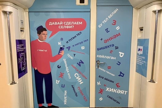 Туган телләр елы өметләрне акладымы?