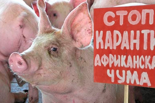 Моңарчы күрелмәгән хәл: 34 районда карантин!