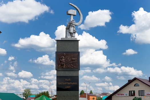 Гади кеше фикере