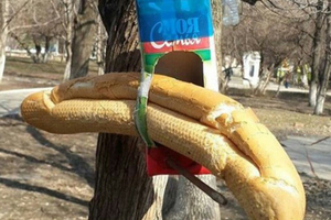 Казанмы, бәдрәфме?